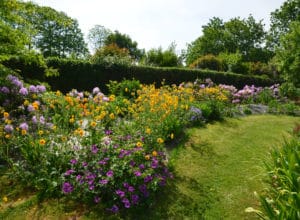 Jardin-fleurs-vivaces-jaune-capp-paysages-fouesnant-72dpi