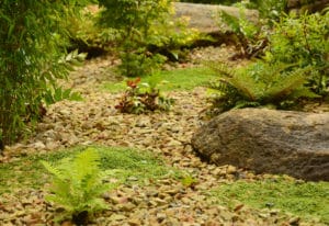 Jardin-japonais-minéral-mousses-fougères-capp-paysages-fouesnant-72dpi