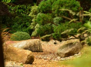 Jardin-japonais-roches-nuages-capp-paysages-72dpi