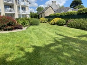 massif-arbuste-jardin-entretien-fouesnant-capp-vert