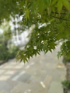 creation allee pavage beton quimper 5