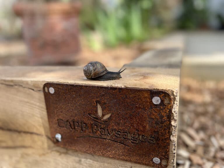 ALLEE terrasse bois traverse paysagere fouesnant - Fouesnant Bénodet