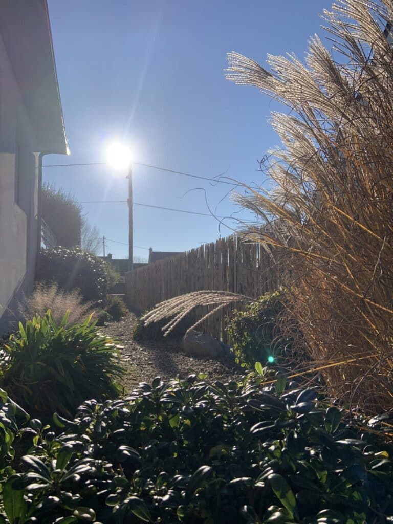CLOTURE ganivelles sur muret fouesnant - Fouesnant Bénodet
