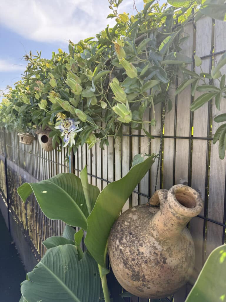 CLOTURE grillage rigide nylofor occultant bois saint evarzec - Fouesnant Bénodet