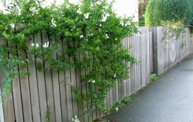 CLOTURE palissade bois lames verticales fleurie fouesnant - Fouesnant Bénodet