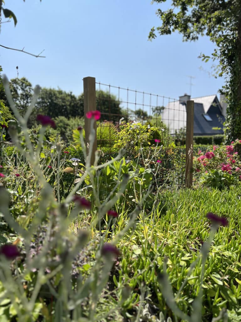 CLOTURE palissade vegetalisee quimper - Fouesnant Bénodet