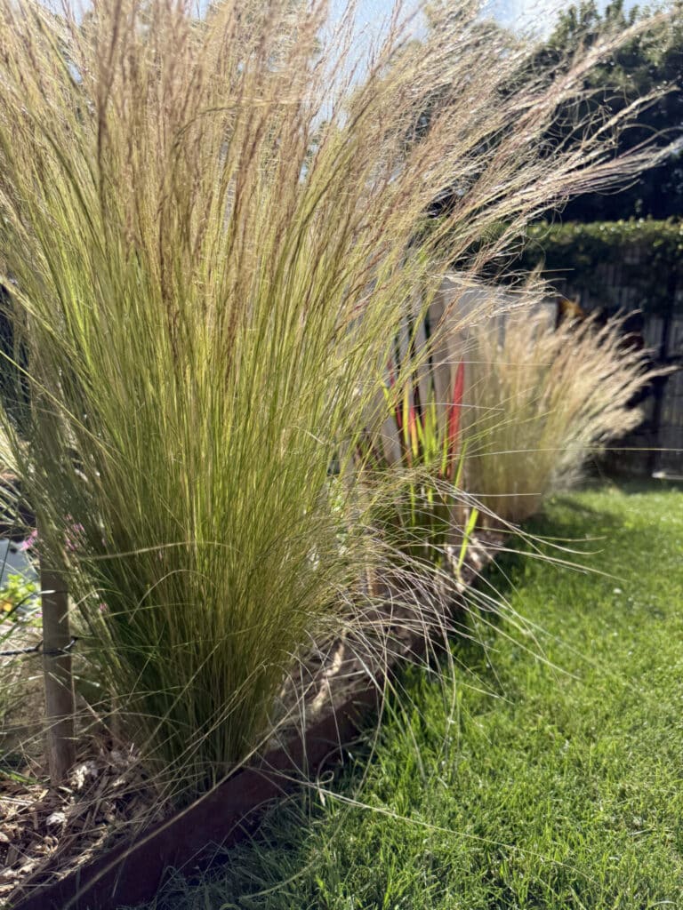 MASSIF bordure corten benodet - Fouesnant Bénodet
