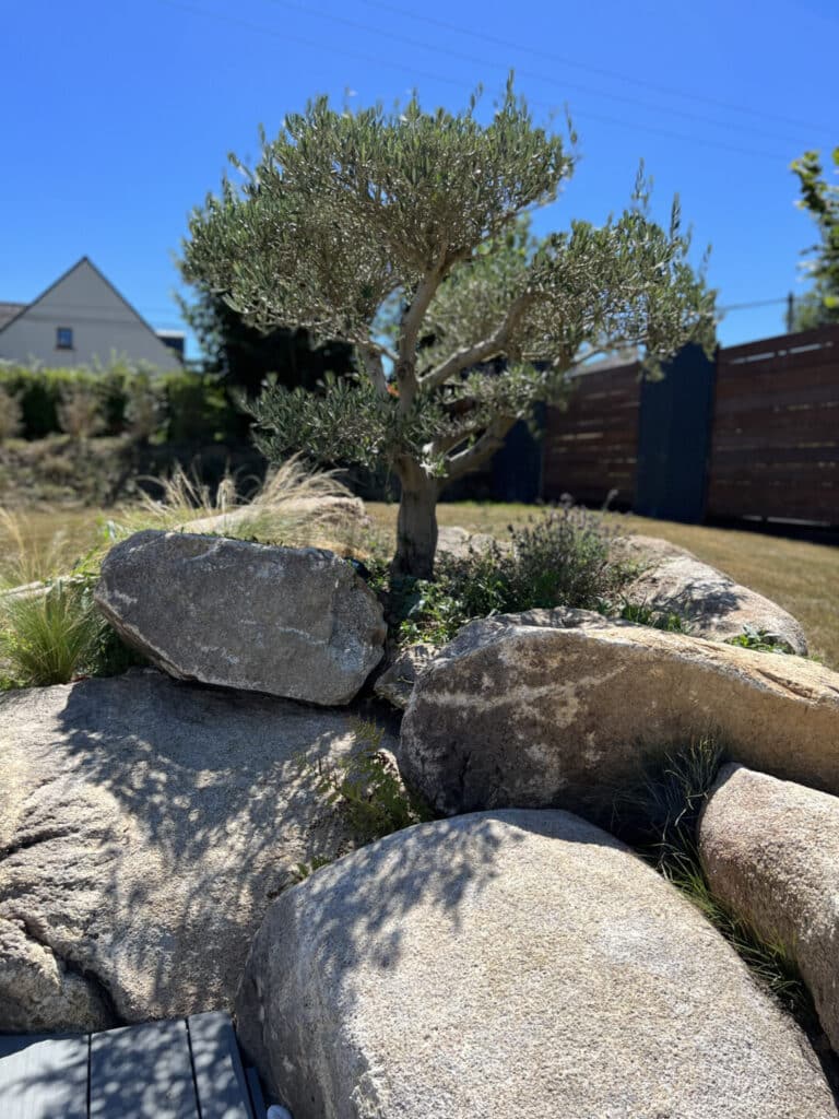 MASSIF enrochement plantation olivier benodet - Fouesnant Bénodet