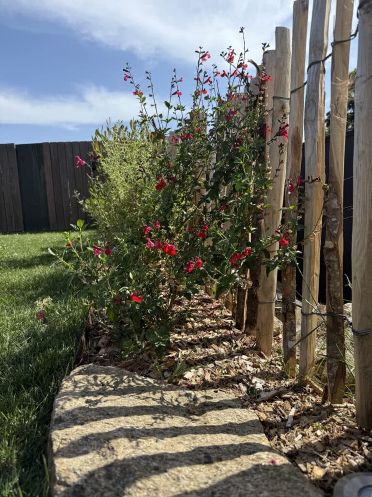 MASSIF ganivelle pleuven - Fouesnant Bénodet