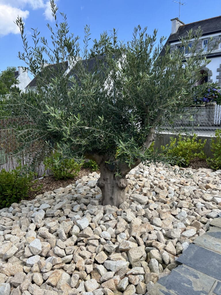 MASSIF mineral gros cailloux granit avec olivier clohars fouesnant - Fouesnant Bénodet