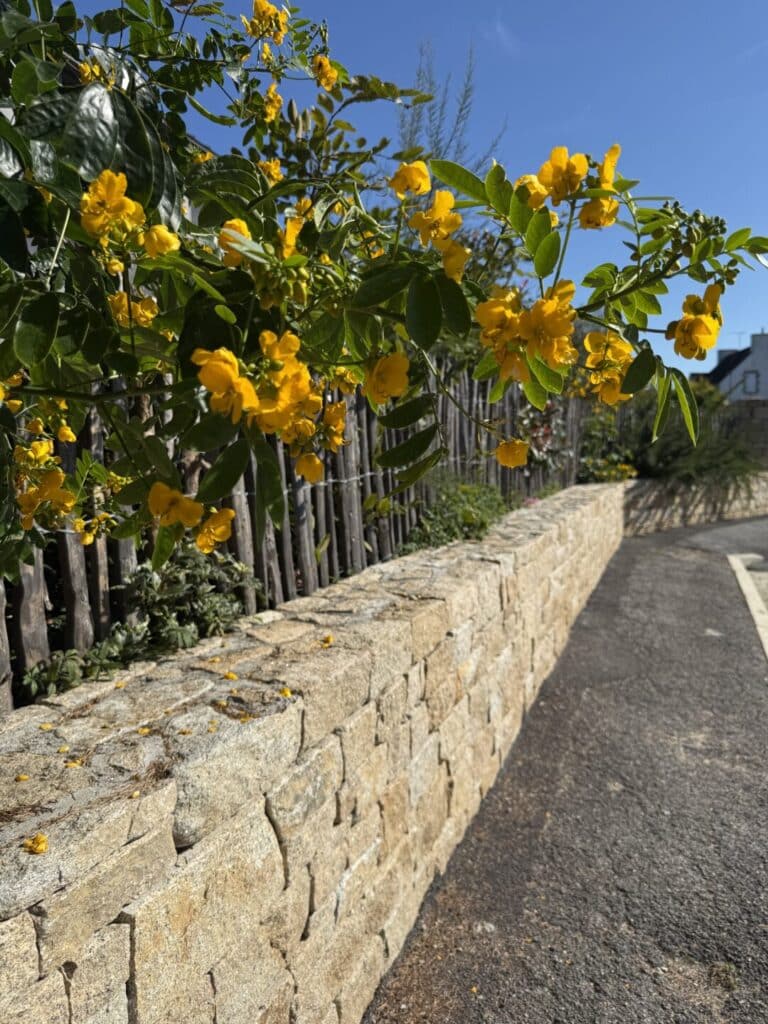 MURET pierre fouesnant - Fouesnant Bénodet