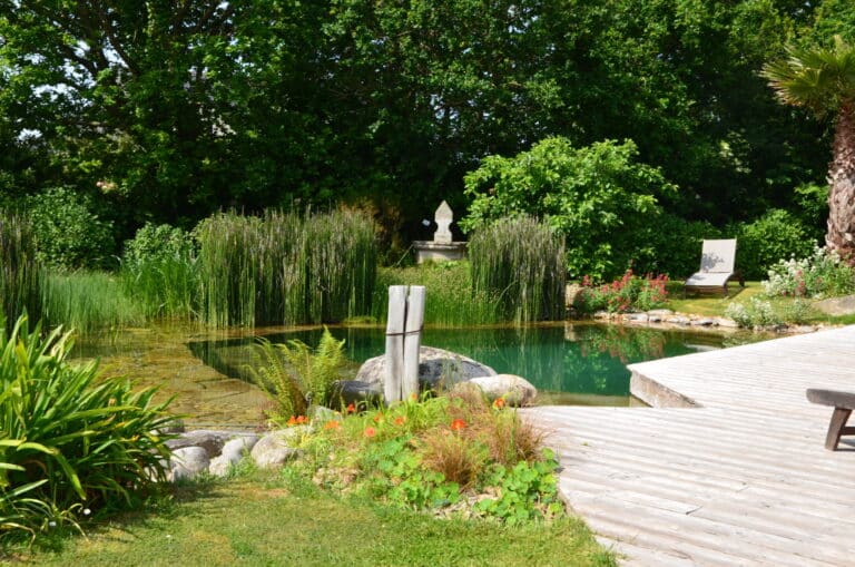PISCINE - Piscine naturelle - La-Forêt-Fouesnant